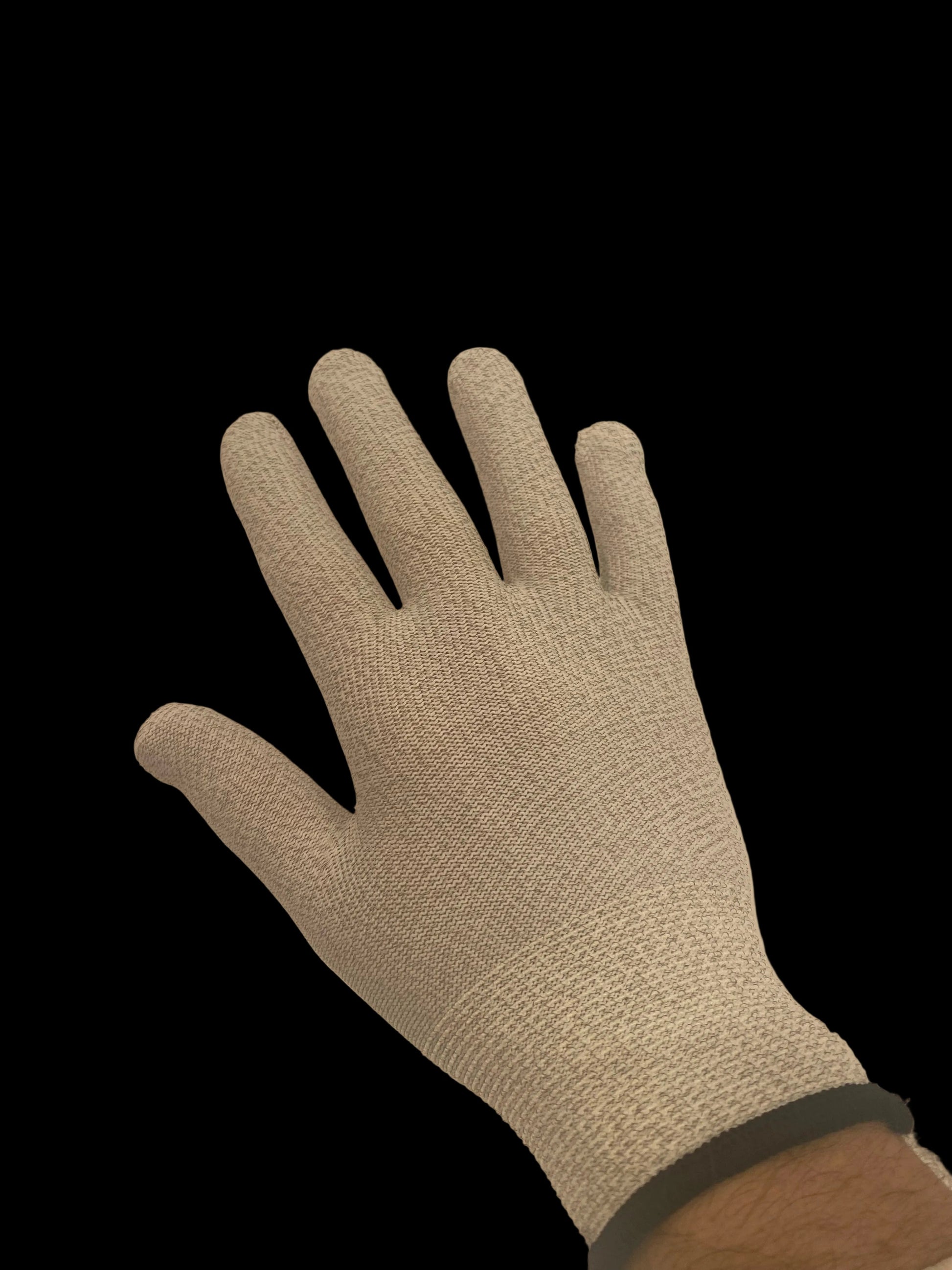 The Glove
